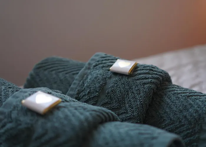 公寓 Zentral Exklusive Neubauwohnung 帕德博恩